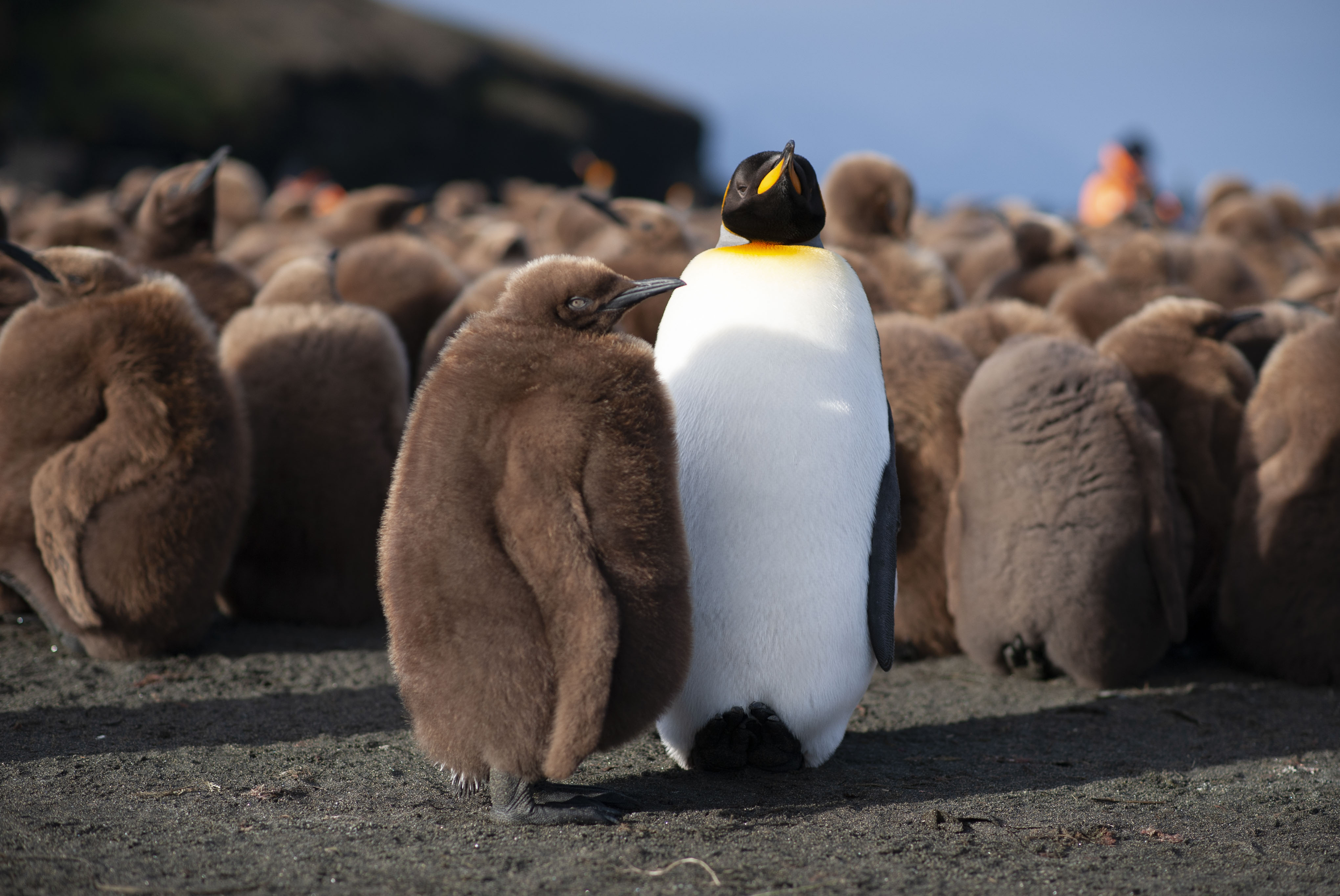 GYT 20220701 134827  DSC6271